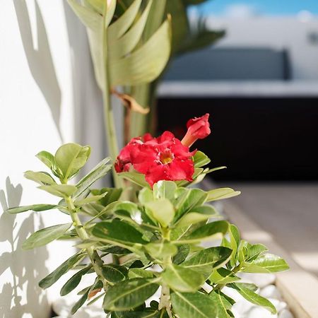 Villa Palmera Jacuzzi Yaiza  Bagian luar foto